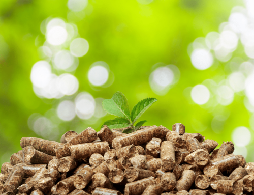 Unlocking the Future of Outdoor Cooking: The Environmental Advantages of Coyote Pellet Grills