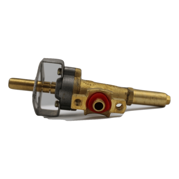 Standard Valve For Burner NG