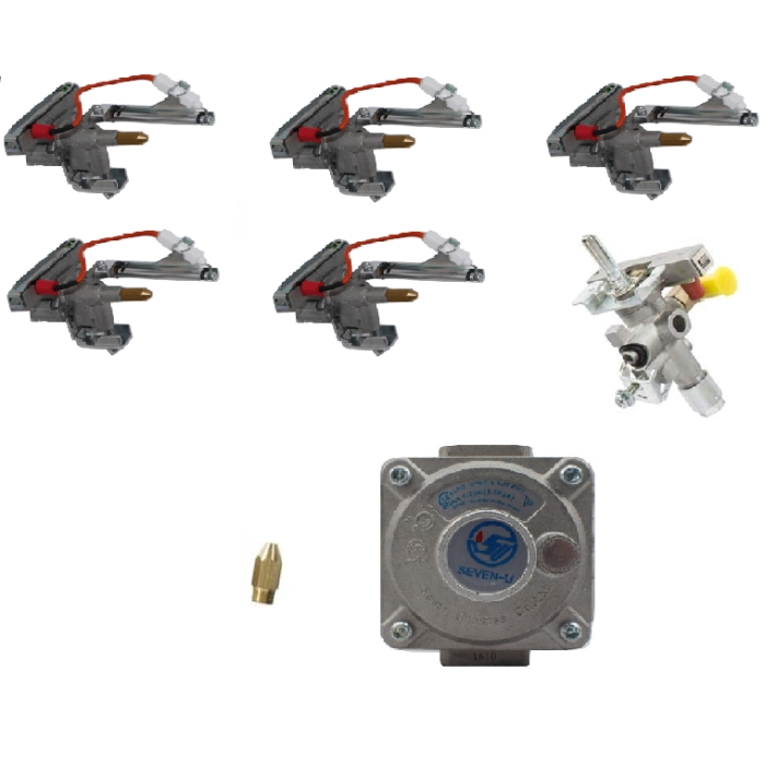 gas conversion kit